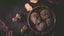 Why Truffles Are the World’s Most Mysterious Gourmet Ingredient