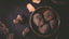 Why Truffles Are the World’s Most Mysterious Gourmet Ingredient