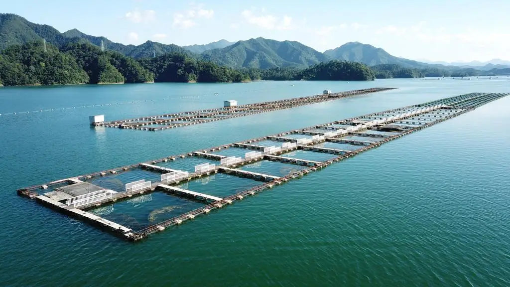 Our Sustainable Caviar Farms