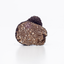 Cross-section of a Black Summer Truffle highlighting its distinctive aroma and texture