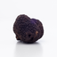 Rough, dark Black Summer Truffle displayed on a neutral background
