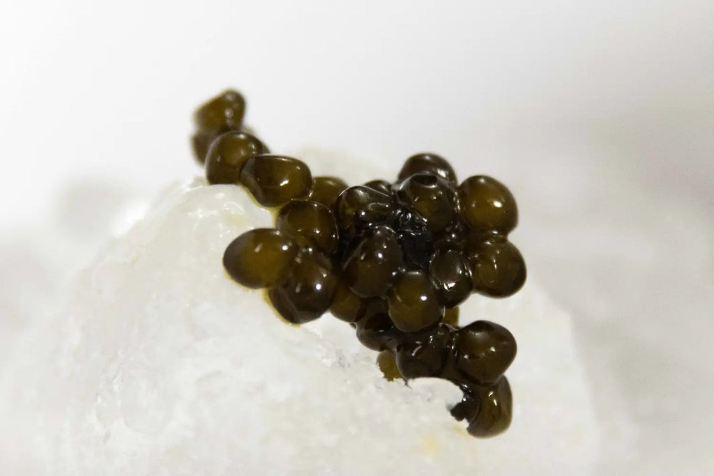 Our Sustainable Caviar Farms